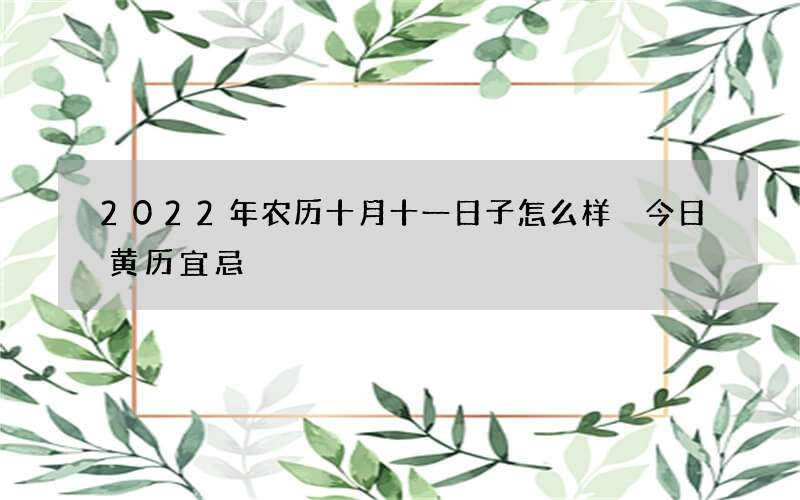 2022年农历十月十一日子怎么样 今日黄历宜忌